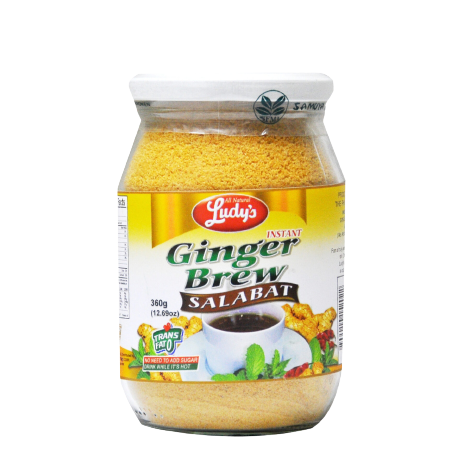 LUDYS GINGER BREW 360G